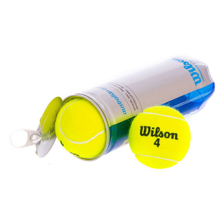 Мячи для тенниса Wilson T1047 - фото