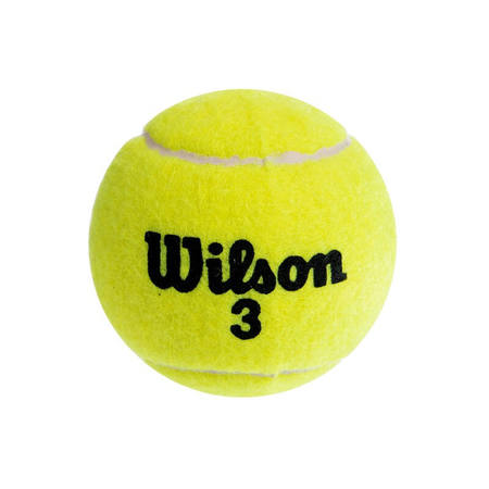 Мяч теннисный Wilson T1001