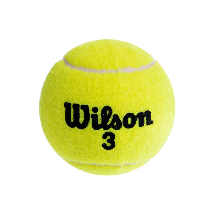 Мяч теннисный Wilson T1001 - фото