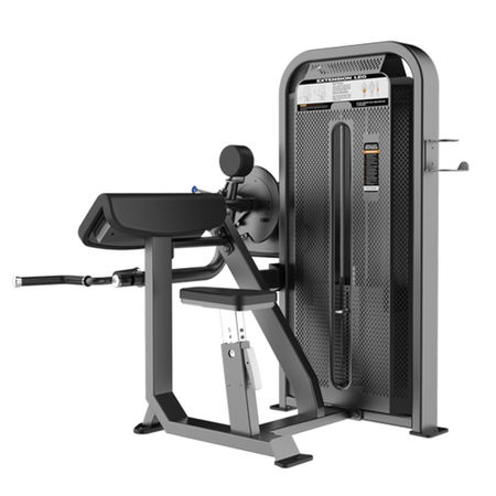 Бицепс и трицепс машина DHZ Biceps/Triceps E5087
