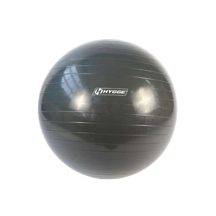 Мяч гимнастический PVC 75 см HYGGE HG1203 - фото