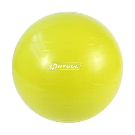Мяч гимнастический PVC 65см HYGGE HG1203